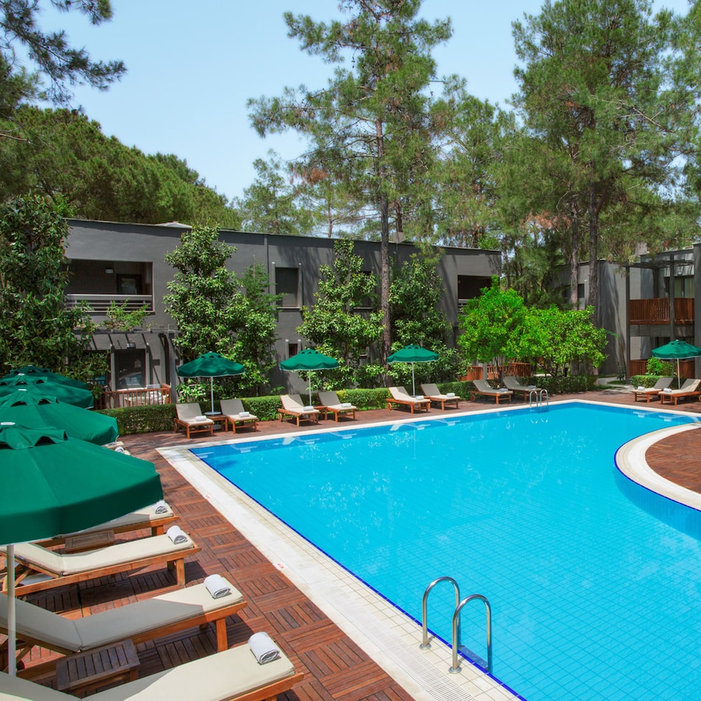 Balmy Foresta Rezervasyon