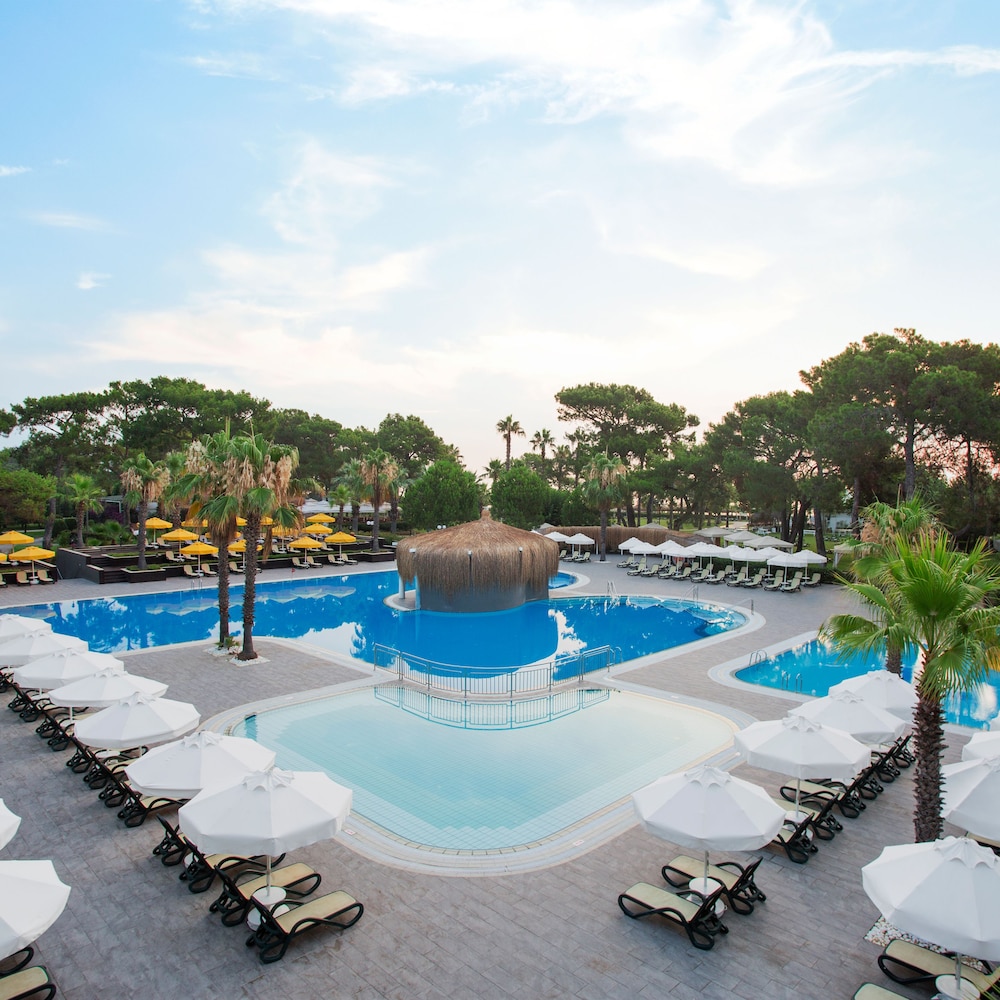 Balmy Foresta Rezervasyon