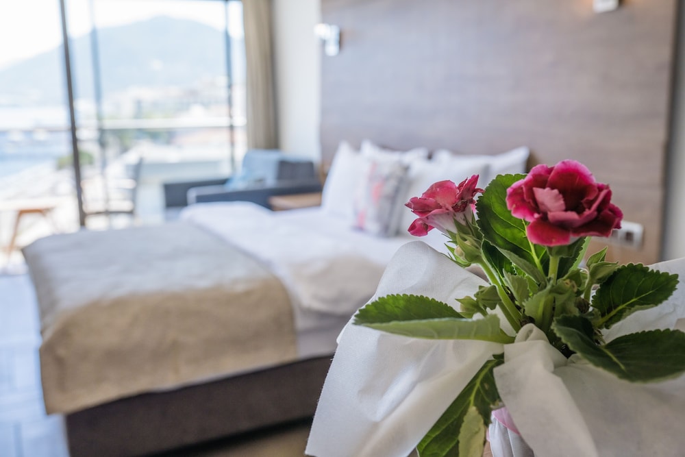 Aurasia Beach Hotel Rezervasyon