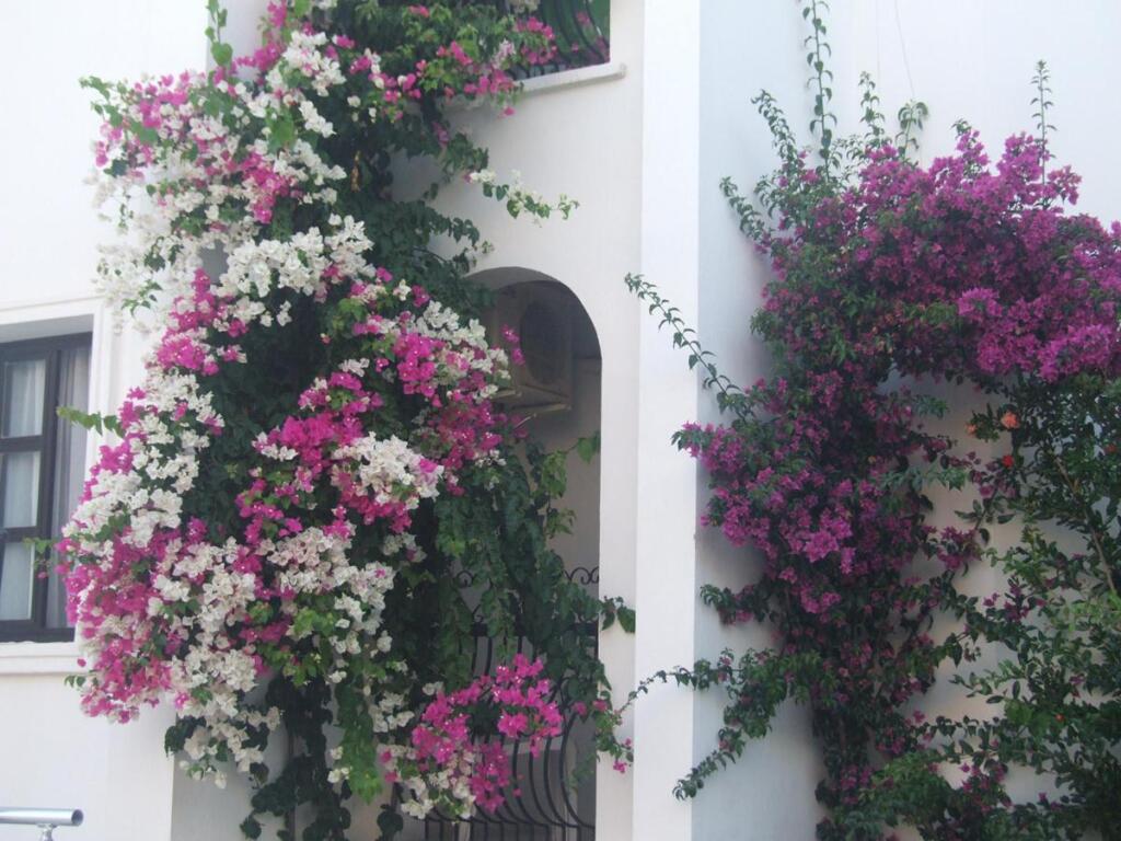 Aydem Hotel Rezervasyon