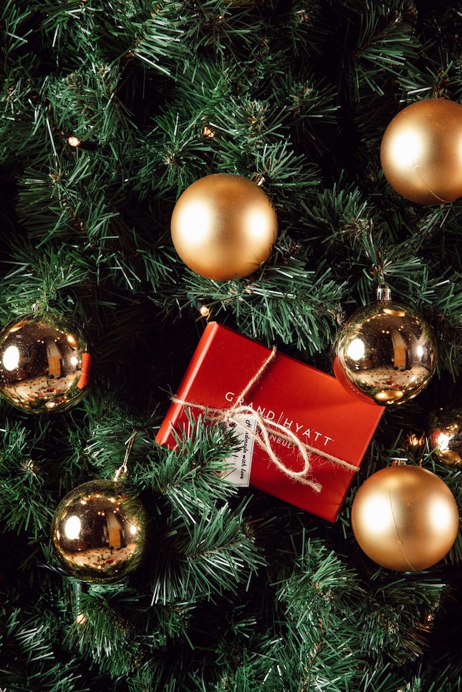 Grand Hyatt Istanbul Rezervasyon