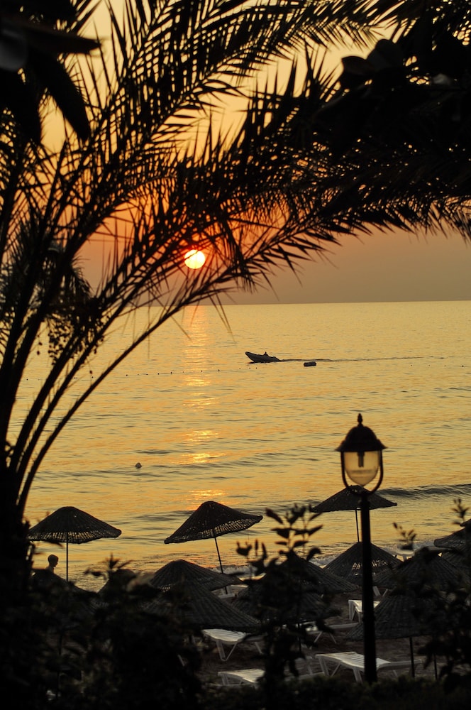 Aska Just In Beach Rezervasyon