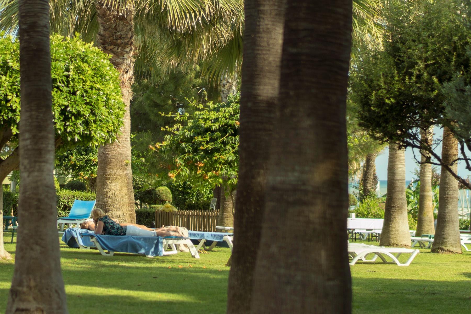 Terrace Beach Resort Rezervasyon