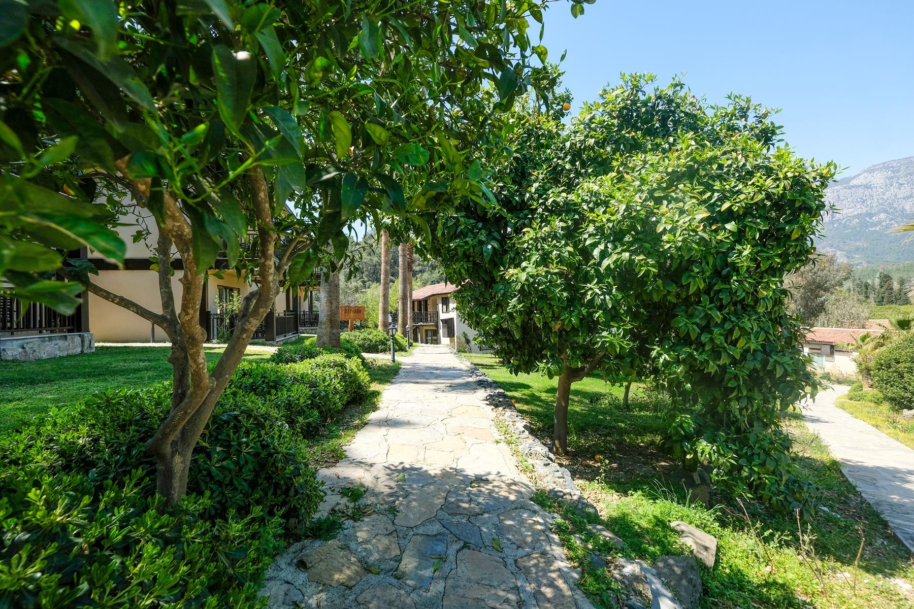 Hotel Berke Ranch & Nature Rezervasyon