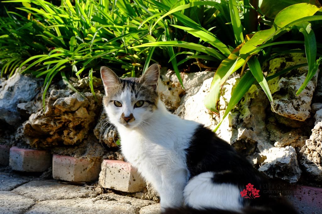 Erendiz Garden Hotel Rezervasyon