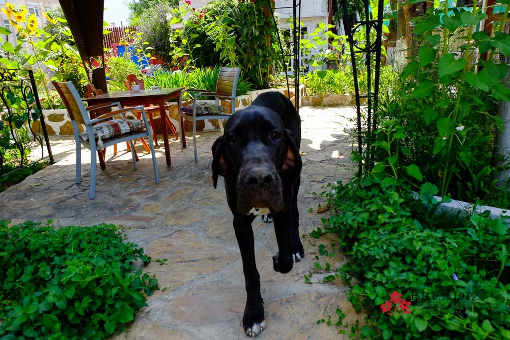 Erendiz Garden Hotel Rezervasyon