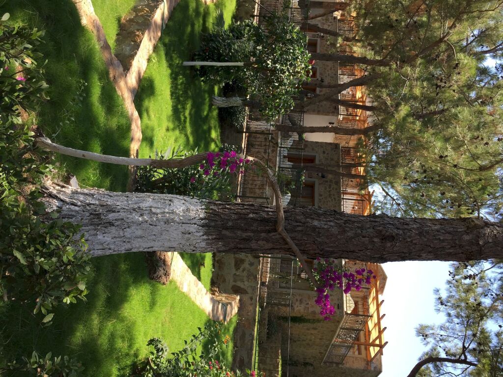 Beyaz Guvercin Rezervasyon