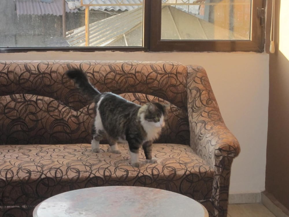 Alican Hotel Rezervasyon