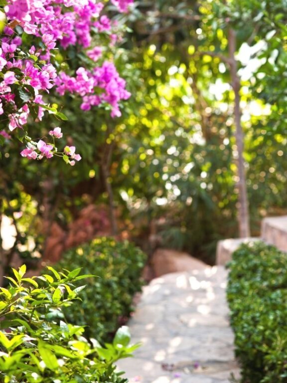 Mare Garden Hotel Rezervasyon