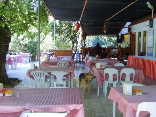 Gelidonya Hotel Rezervasyon