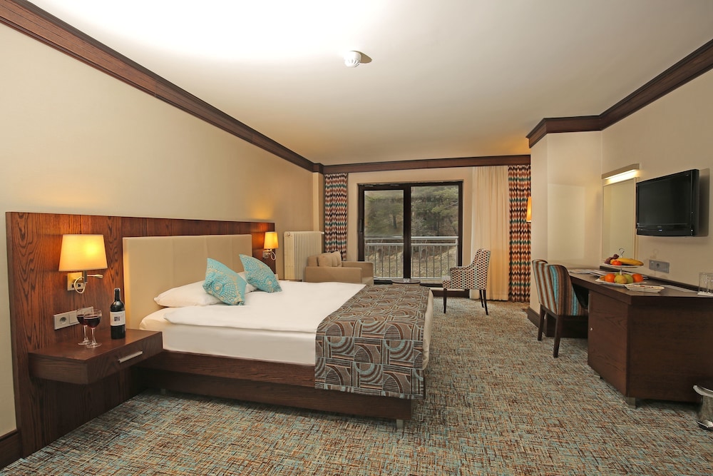 Abant Palace Hotel Rezervasyon