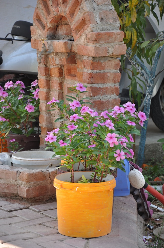 Kusadasi Mürsel Pansiyon Rezervasyon