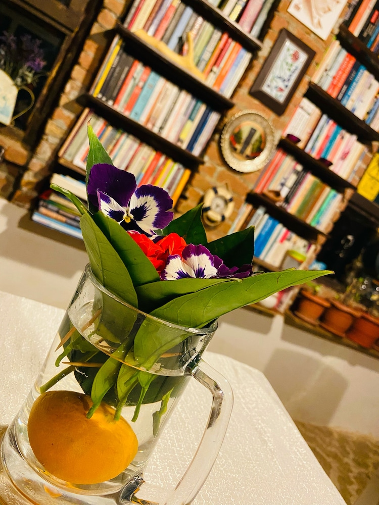 Kusadasi Mürsel Pansiyon Rezervasyon