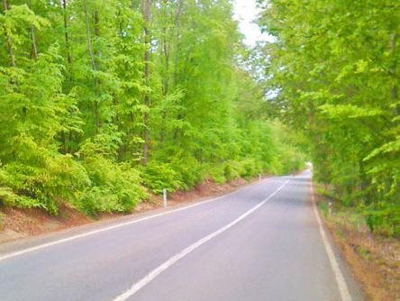 Kurfal Otel Rezervasyon