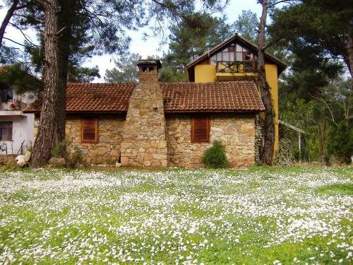 Daphne House Rezervasyon
