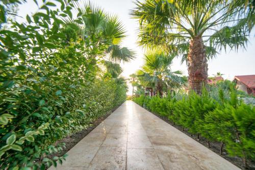 Hotel Nerissa Rezervasyon