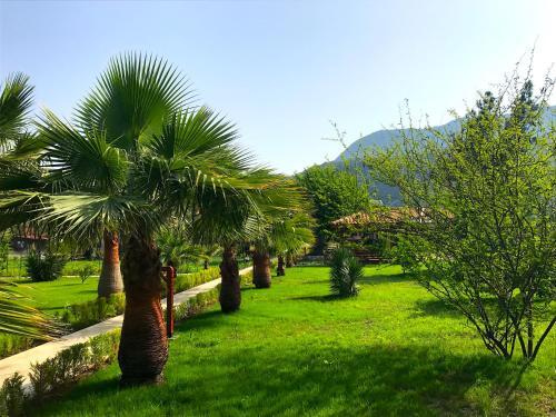 Hotel Nerissa Rezervasyon