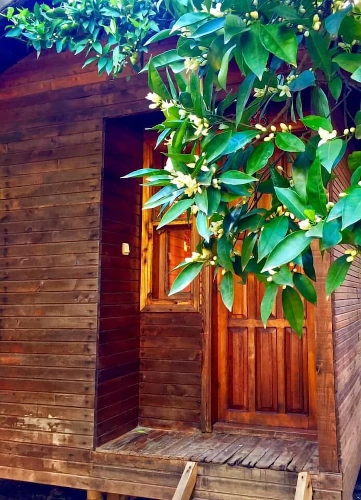 Sheriff Olympos Pension Rezervasyon