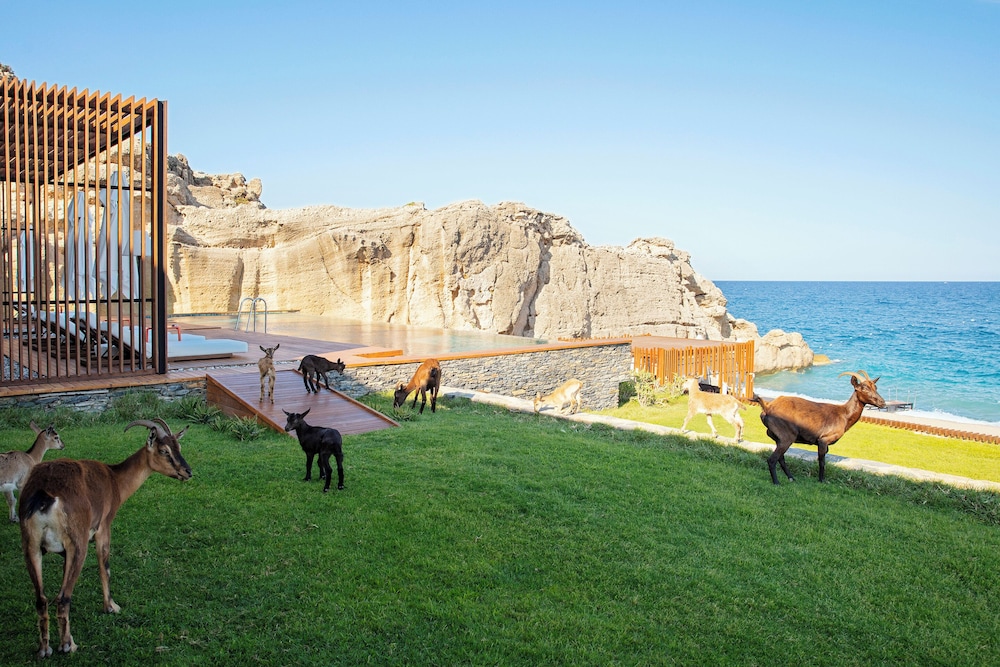 Maxx Royal Kemer Resort Rezervasyon