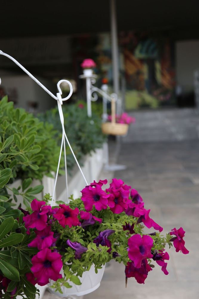 B&B Yüzbasi Beach Rezervasyon