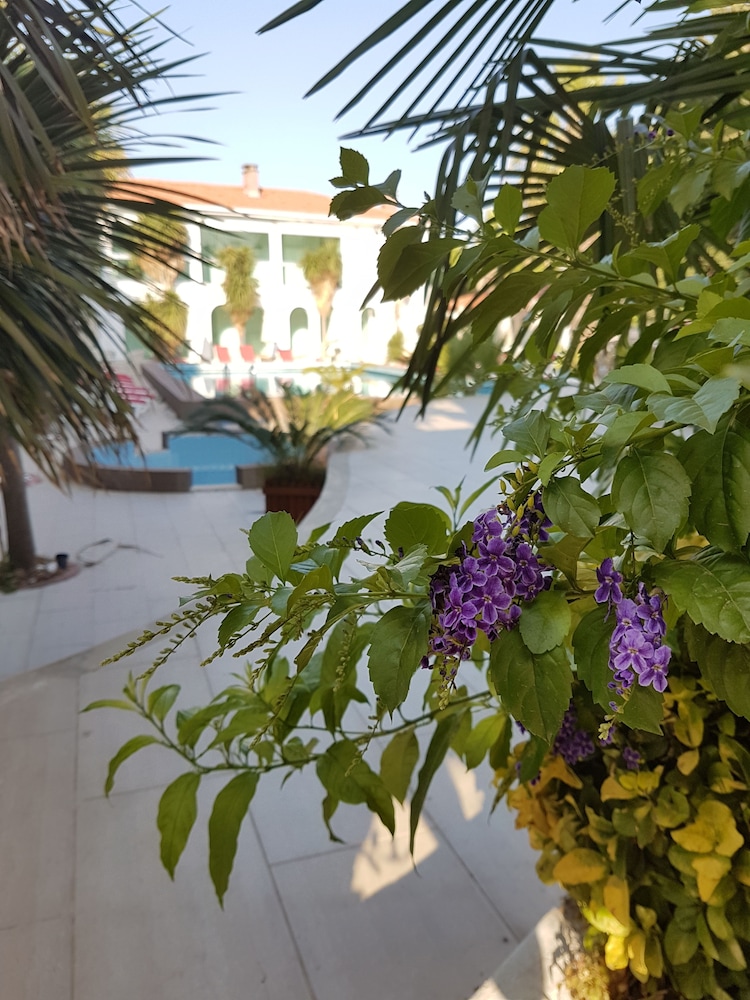 Pidasus Rezervasyon