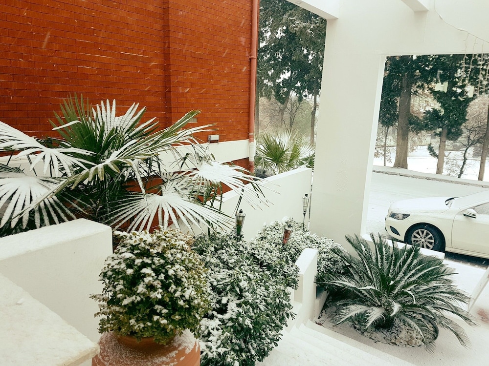 Pidasus Rezervasyon