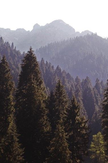 Moyy Mini Rezervasyon