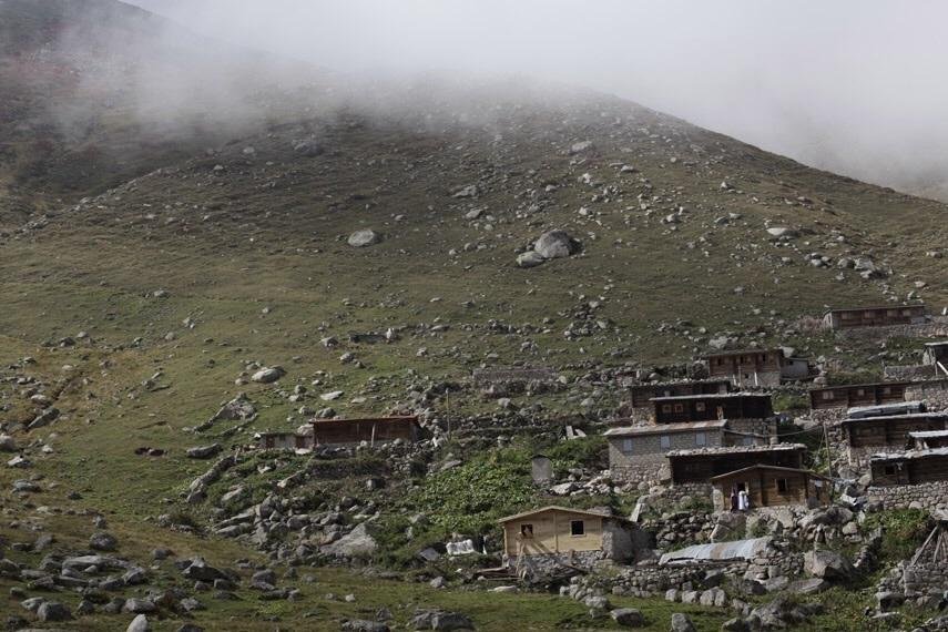 Moyy Mini Rezervasyon