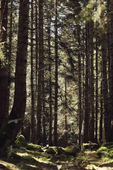 Moyy Mini Rezervasyon