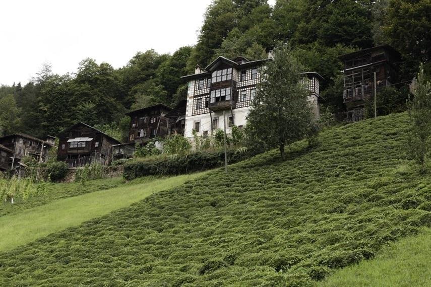 Moyy Mini Rezervasyon