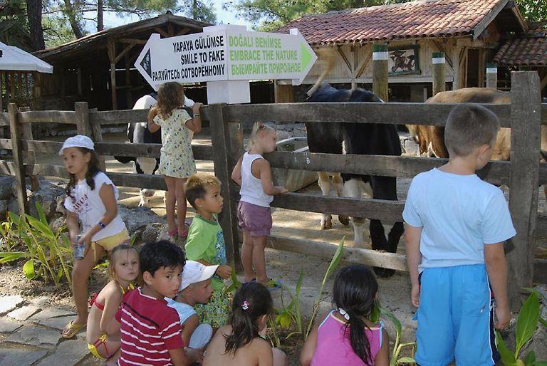 Naturland Vacation Club in Eco Park Forest Resort Rezervasyon