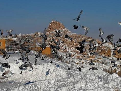 Cappadocia House Rezervasyon
