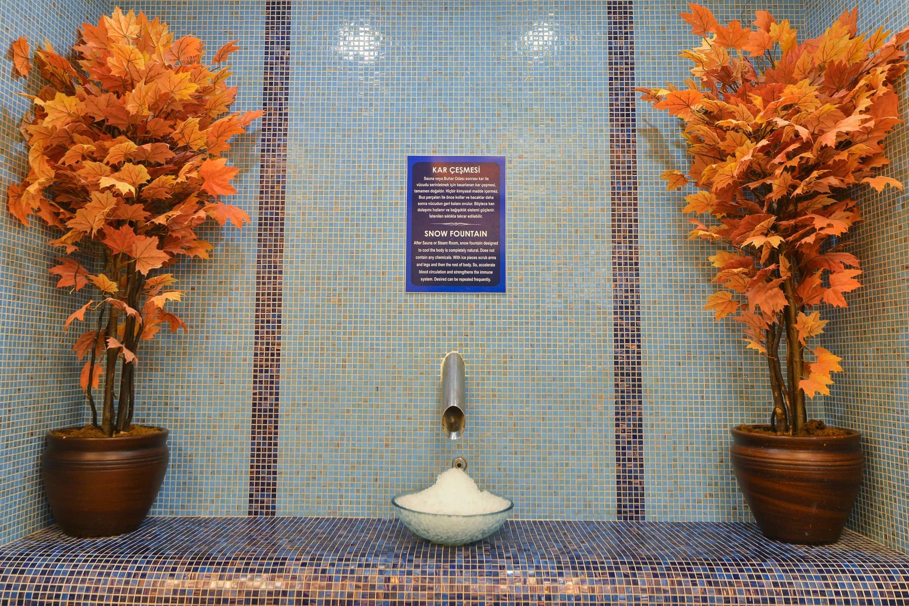 Grand Özgül Thermal Holiday Village Rezervasyon