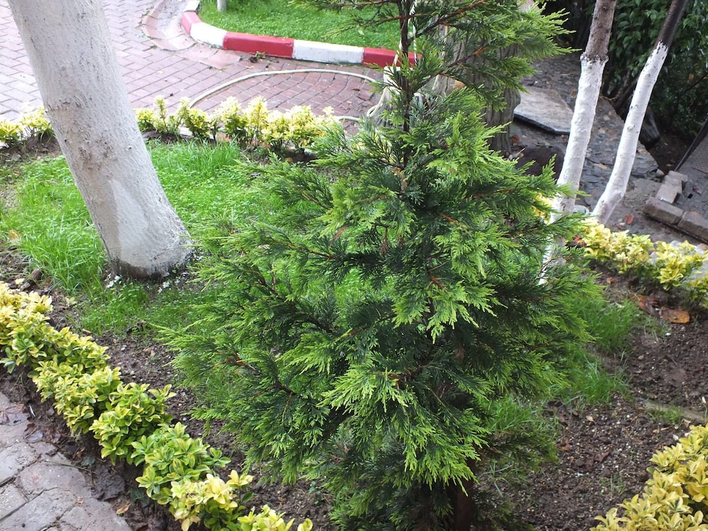 Eraslan Tatil Koyu Rezervasyon