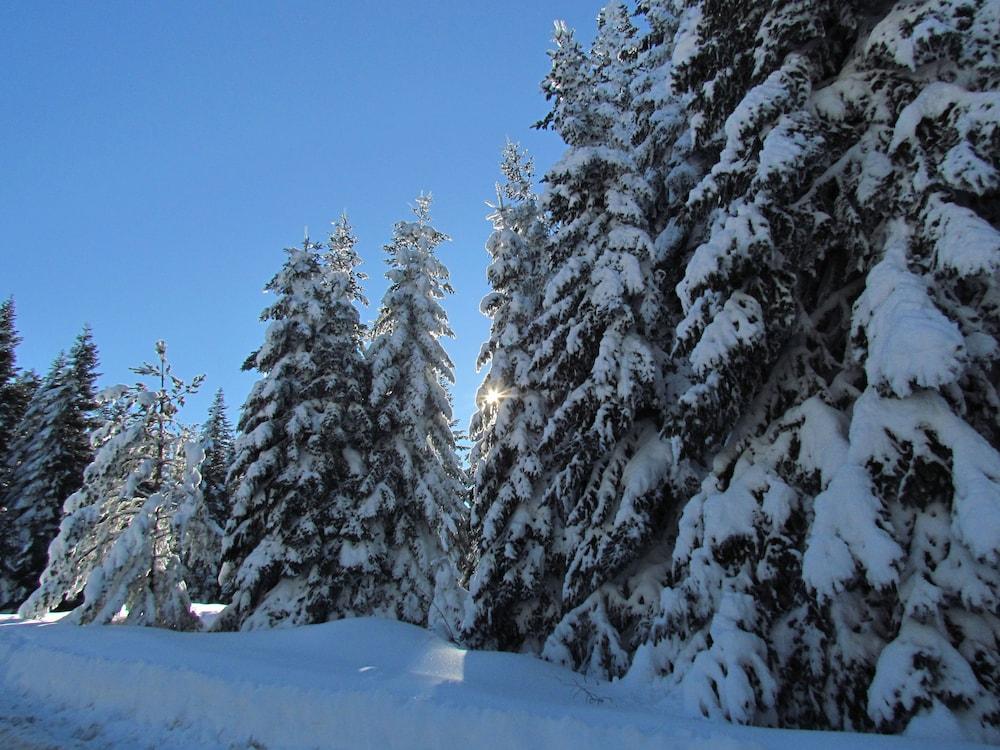 Adya Aladağ Doğal Yaşam Alanı Rezervasyon