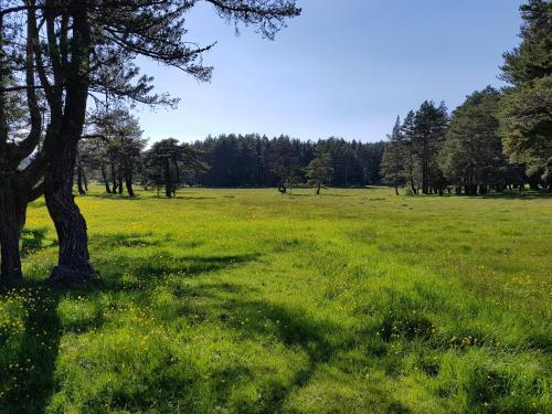 Adya Aladağ Doğal Yaşam Alanı Rezervasyon