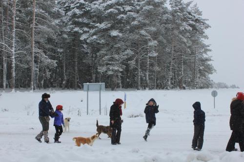 Adya Aladağ Doğal Yaşam Alanı Rezervasyon