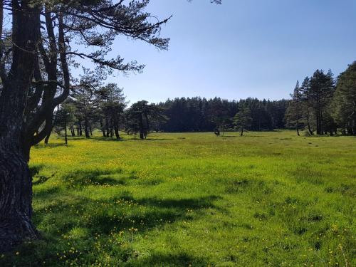 Adya Aladağ Doğal Yaşam Alanı Rezervasyon