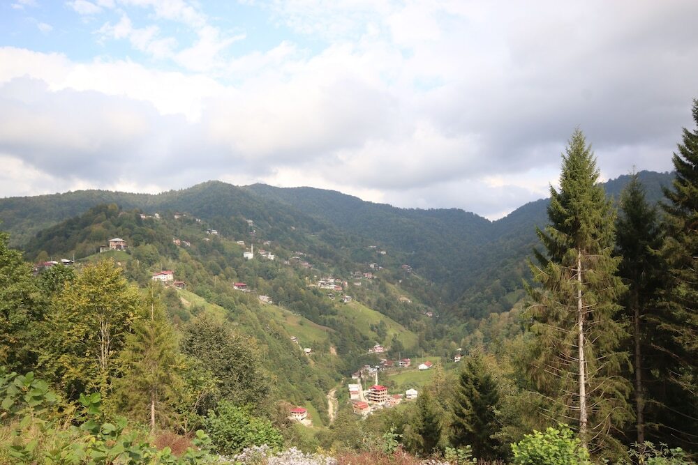 Sapart Hotel Rezervasyon