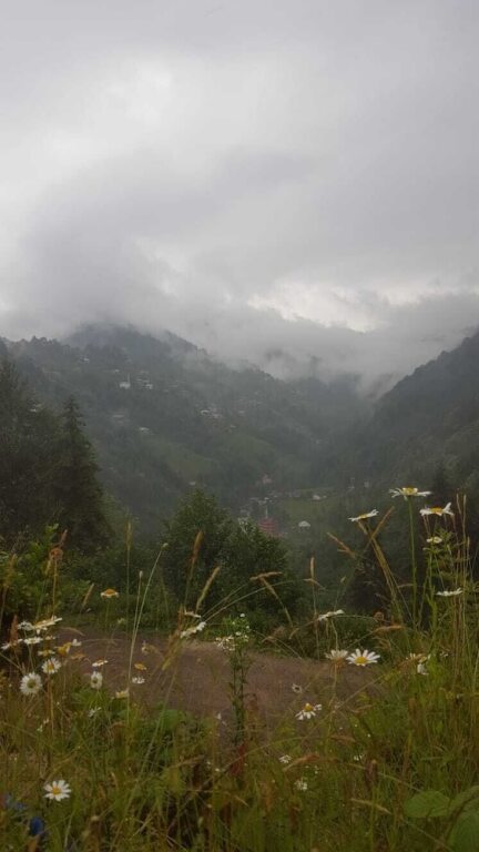 Sapart Hotel Rezervasyon