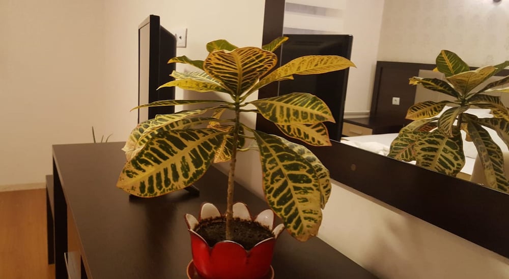 Animos Suit Otel Rezervasyon