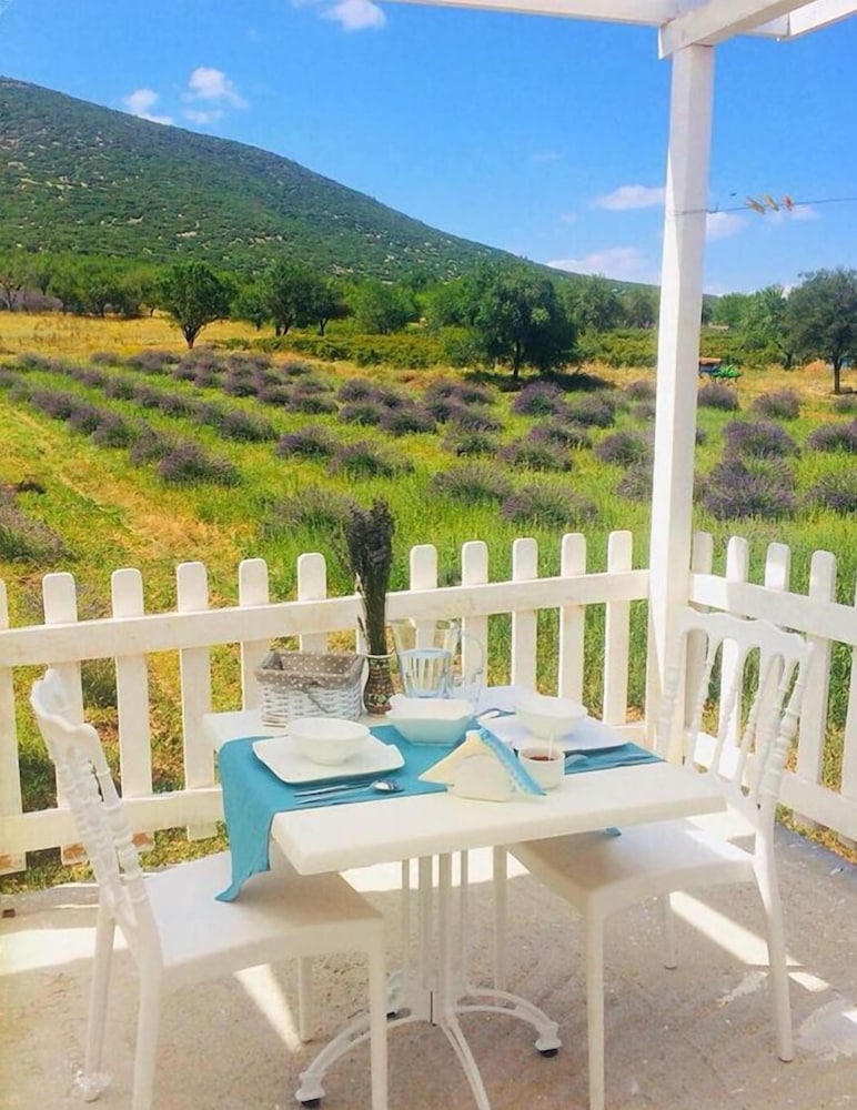 Aliya Garden Köy Evi ve Lezzetleri Rezervasyon