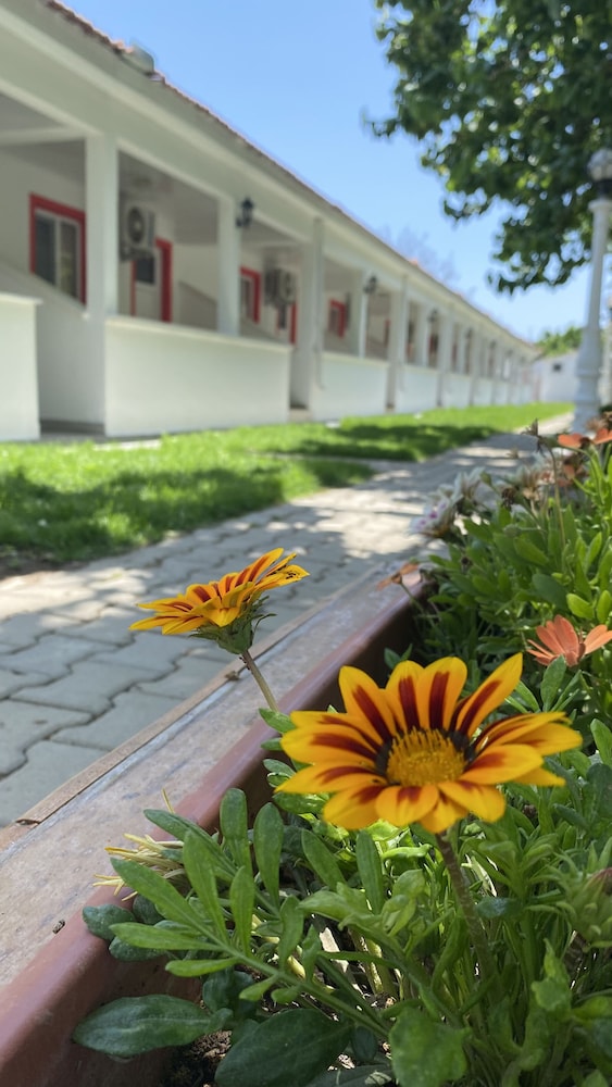 Mali Beach Apart Otel Rezervasyon