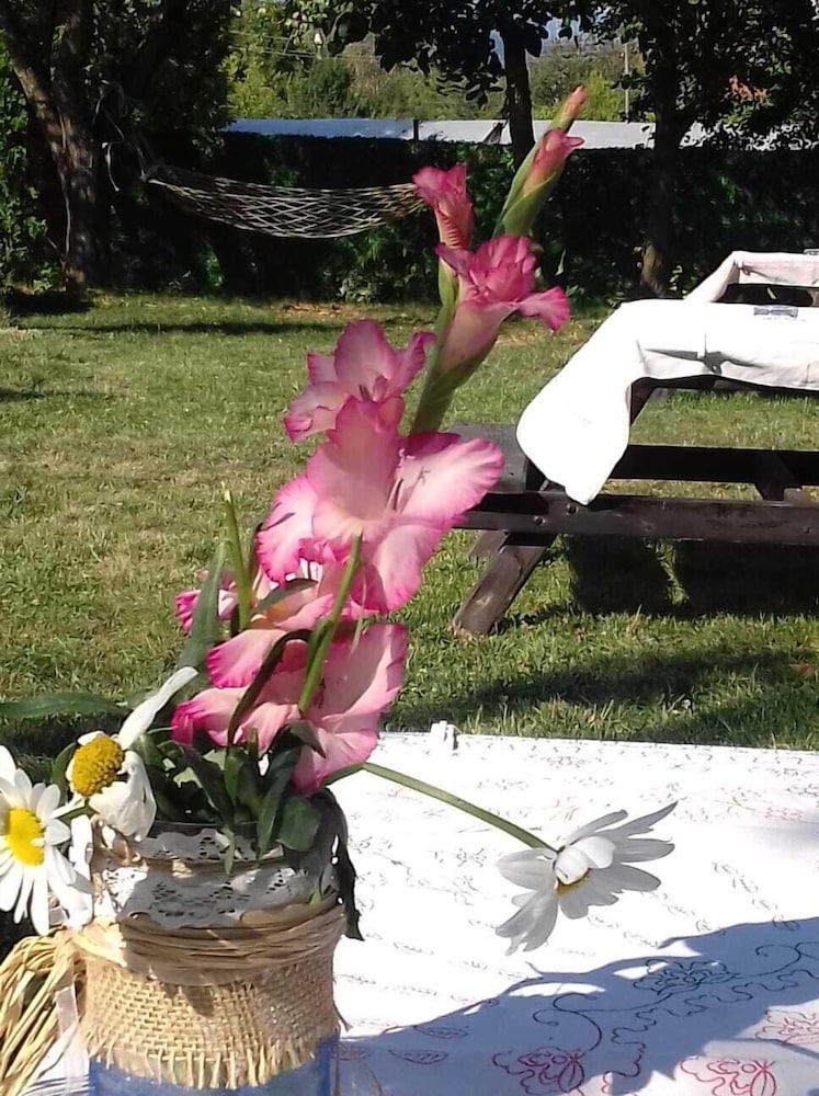 Abant Hayalim Pansiyon Rezervasyon