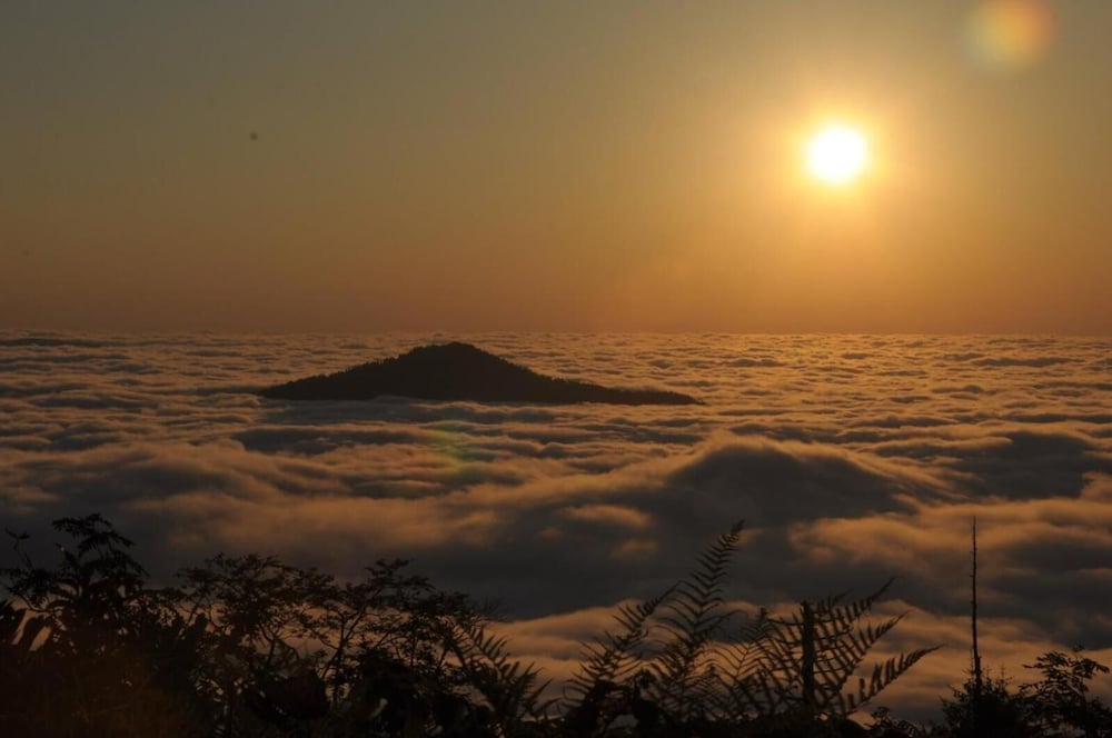Tanevit Dag Evi Rezervasyon