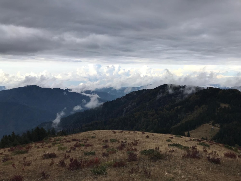 Tanevit Dag Evi Rezervasyon