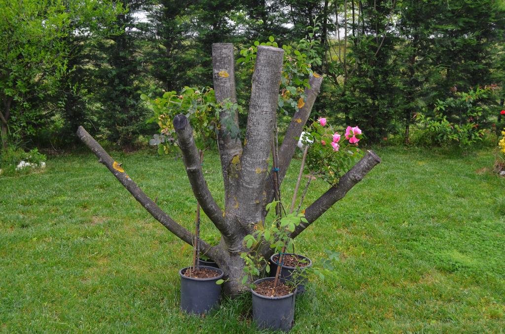 Villa Özdilek Rezervasyon