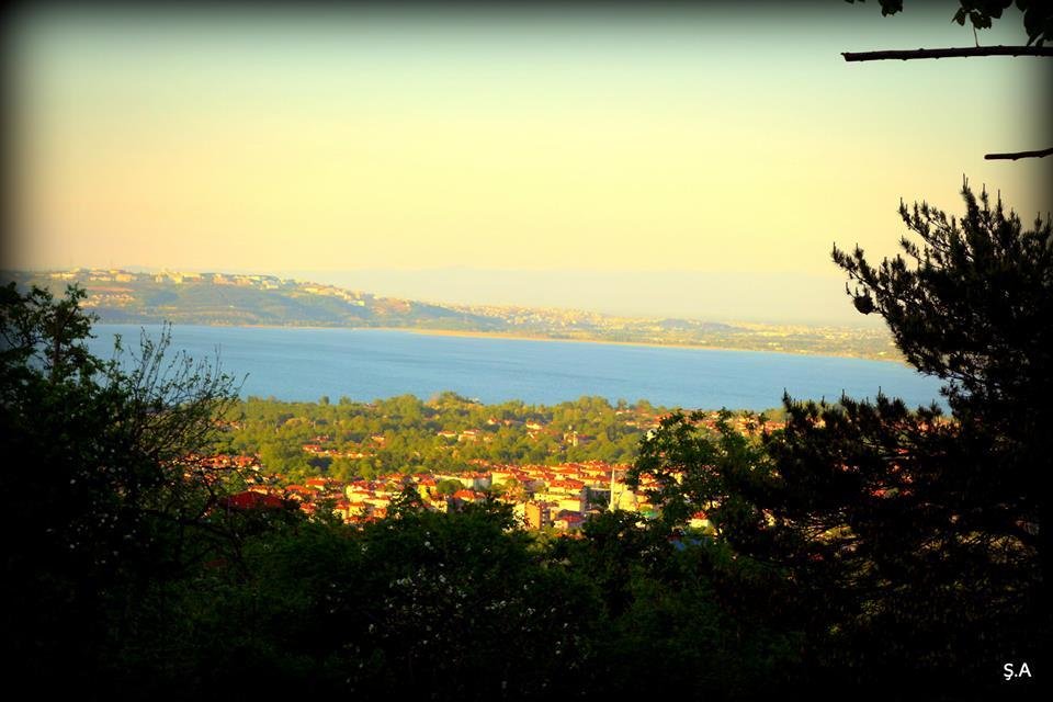 Tureyen Villalari Rezervasyon