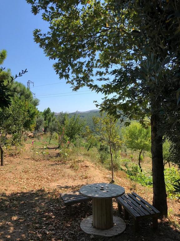 Yesil Vadi Apart Pansiyon Rezervasyon