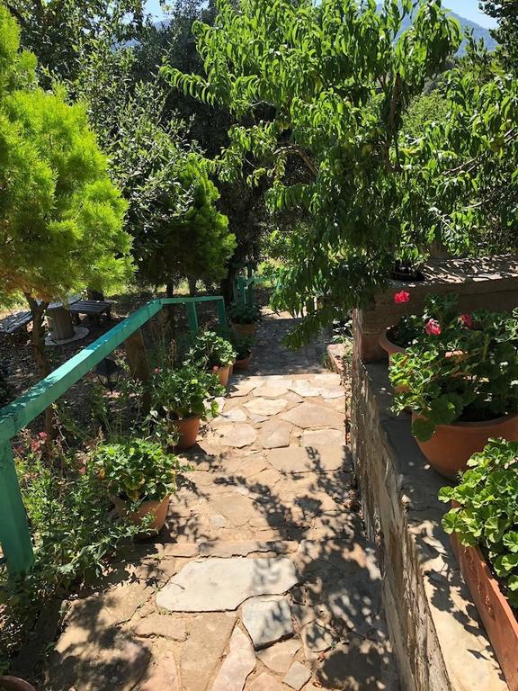 Yesil Vadi Apart Pansiyon Rezervasyon